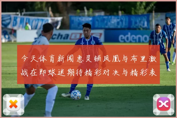 今天体育新闻惠灵顿凤凰与布里激战在即球迷期待精彩对决与精彩表现